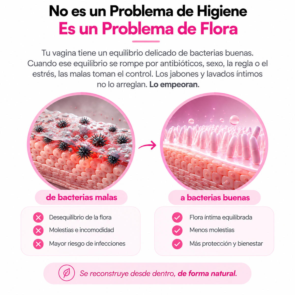 Nutrily™ - Probiótico Vaginal